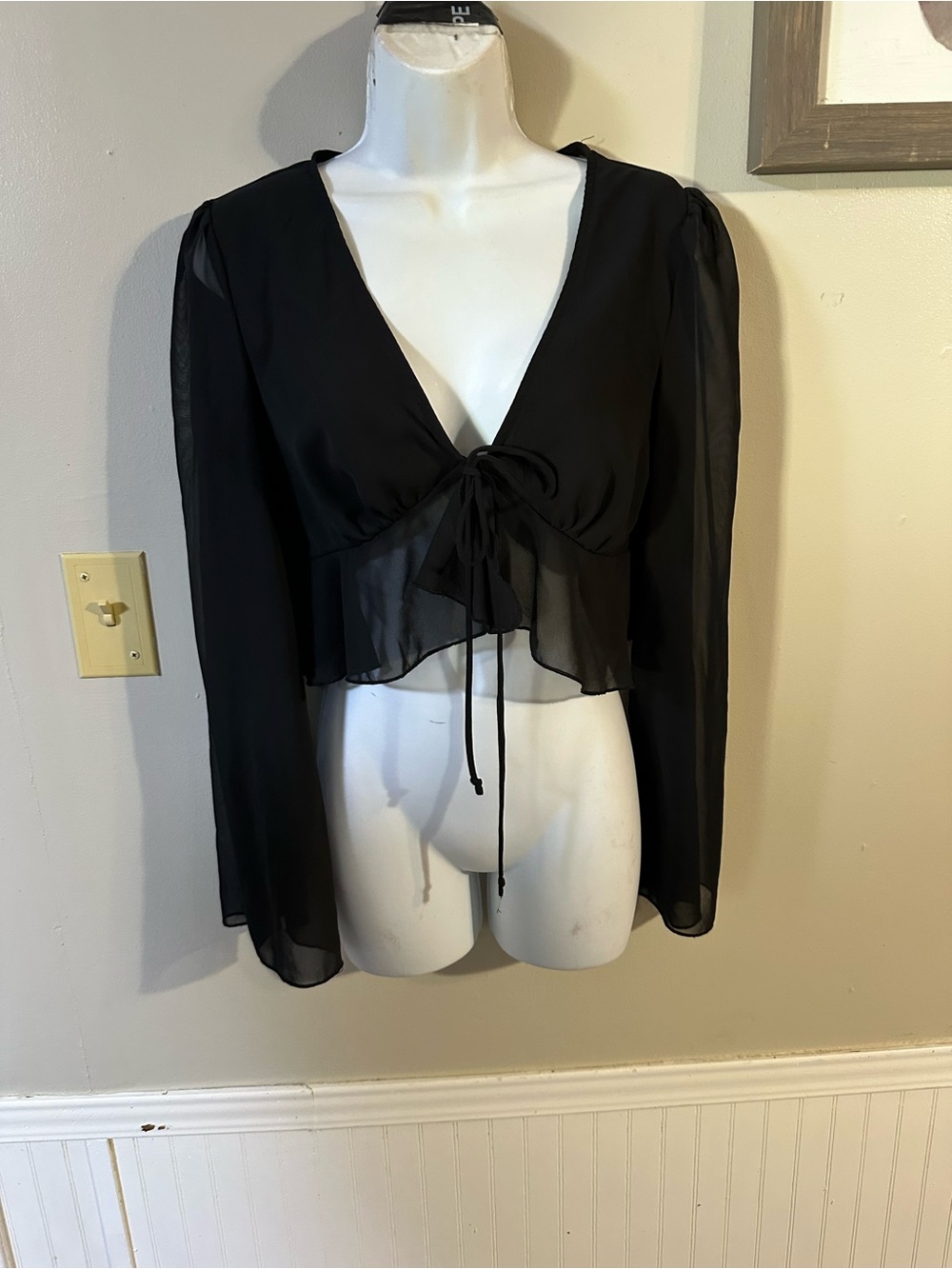 SHEIN Black Sheer Tie-Front Long Sleeve Crop Top